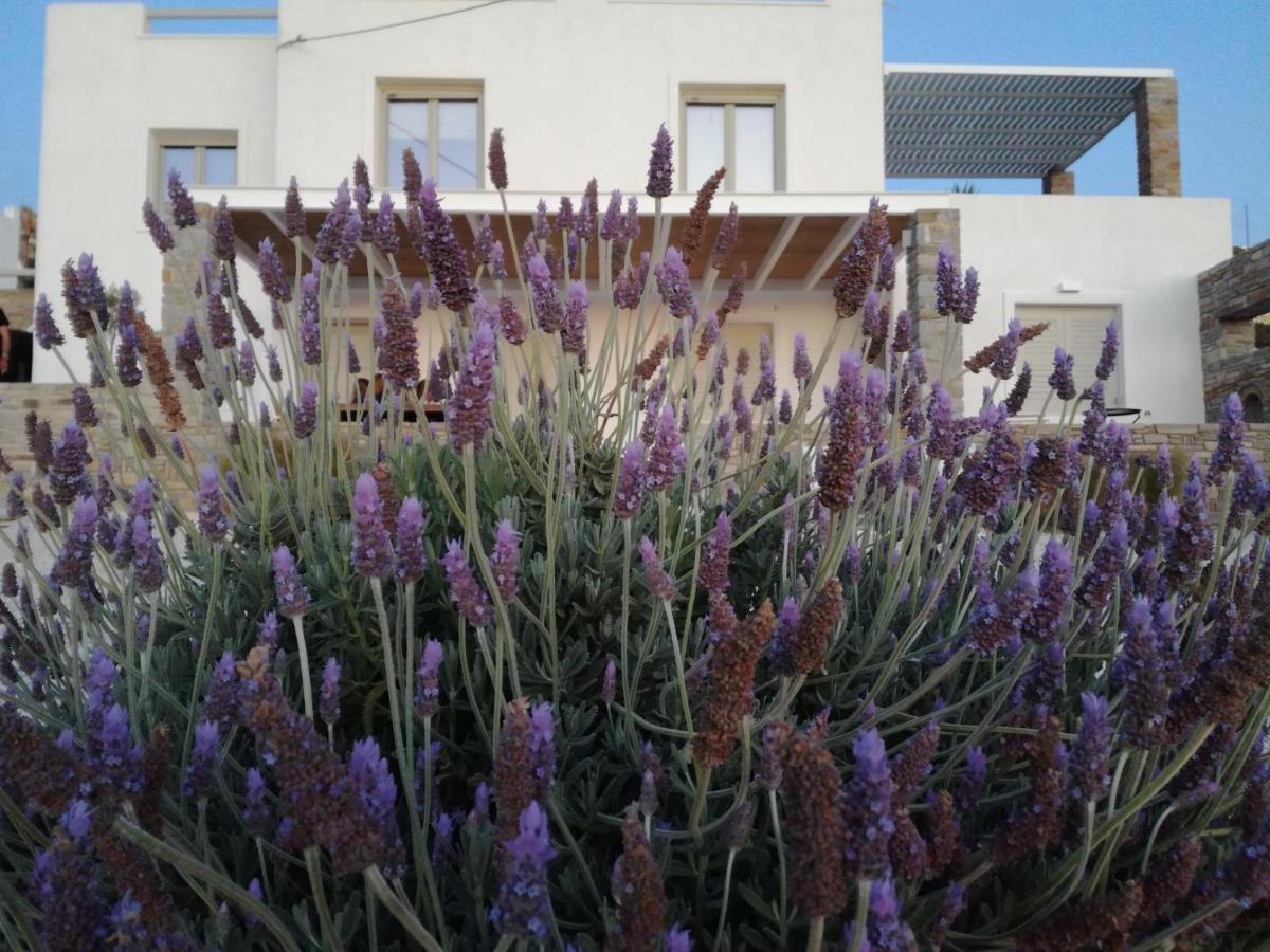 Вілла Nesaea Seafront House Parasporos Екстер'єр фото