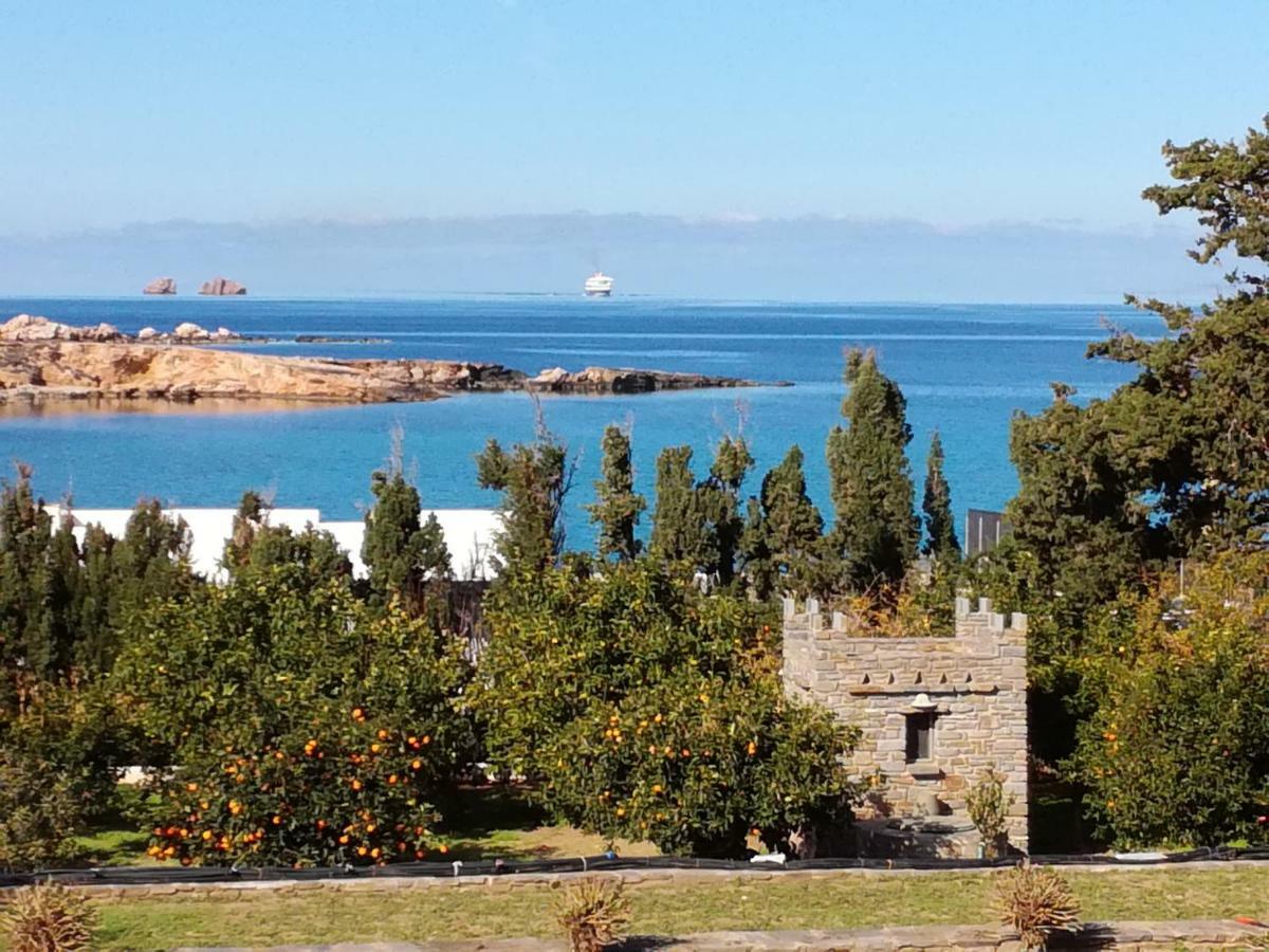 Вілла Nesaea Seafront House Parasporos Екстер'єр фото